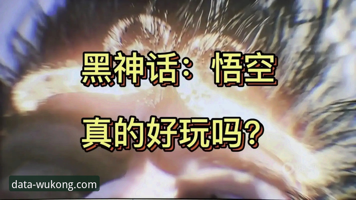 悟空体育下载2026最新版本 如何获取悟空体育下载2026最新版本以提升你的数据分析效率?